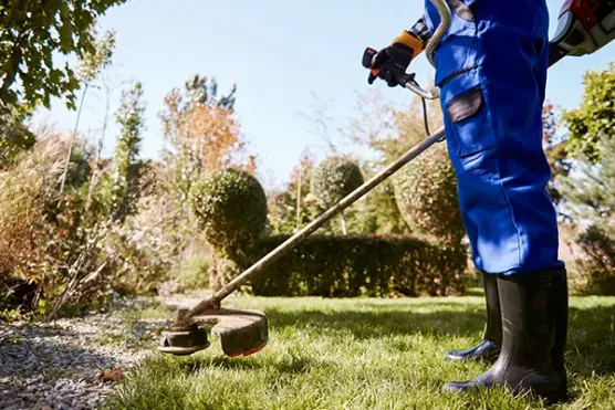 Jardinería y poda de árboles